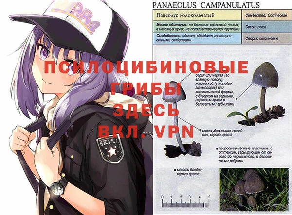 эйфоретик Корсаков