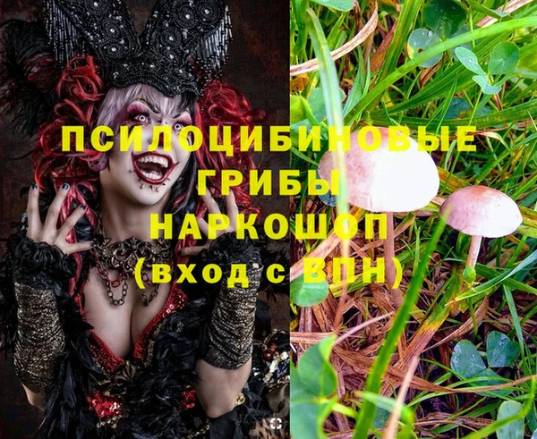 спайс Коряжма