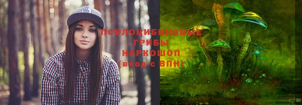 эйфоретик Корсаков