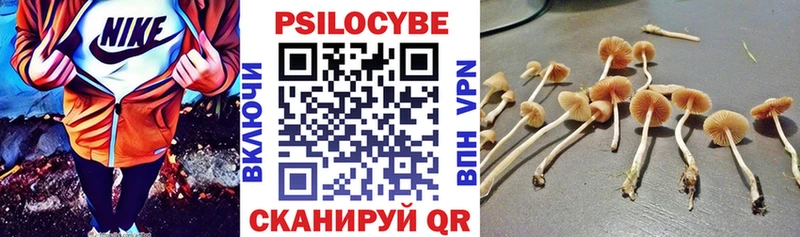 Псилоцибиновые грибы Cubensis  Иноземцево 